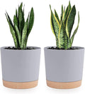 QCQHDU 8 inch Plant Pot, 2 Pack Planters by QCQHDU