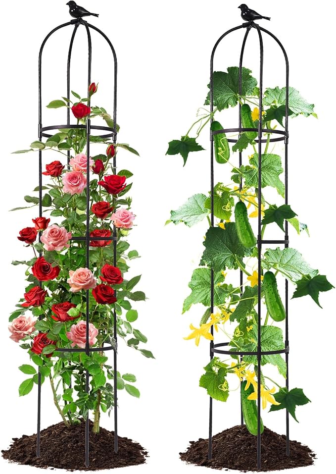 Lalahoni Garden Obelisk Trellis by Thereasonyoulovegardening