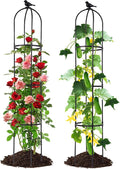 Lalahoni Garden Obelisk Trellis by Thereasonyoulovegardening