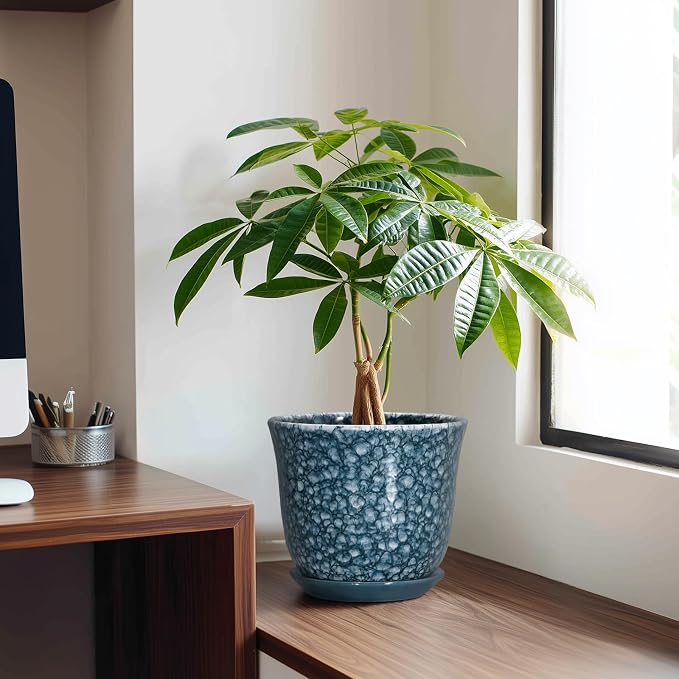 8 Inch Plant Pot - Image 3