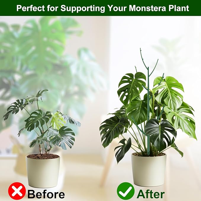 5 Pack Stackable Monstera Plant Support Stakes - Image 5