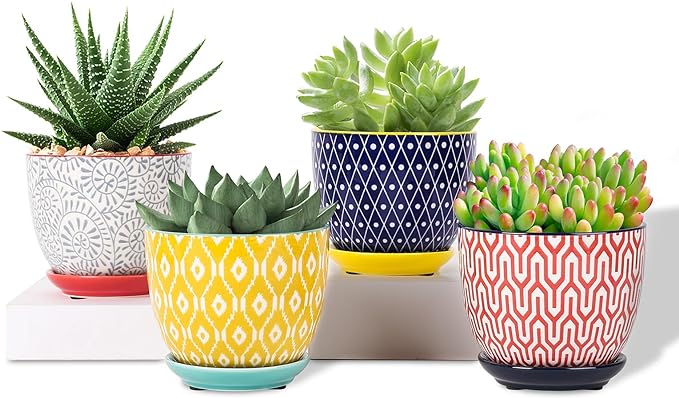 Selamica Ceramic Plant Pots, 4.6 Inch Flower Pots by Selamica