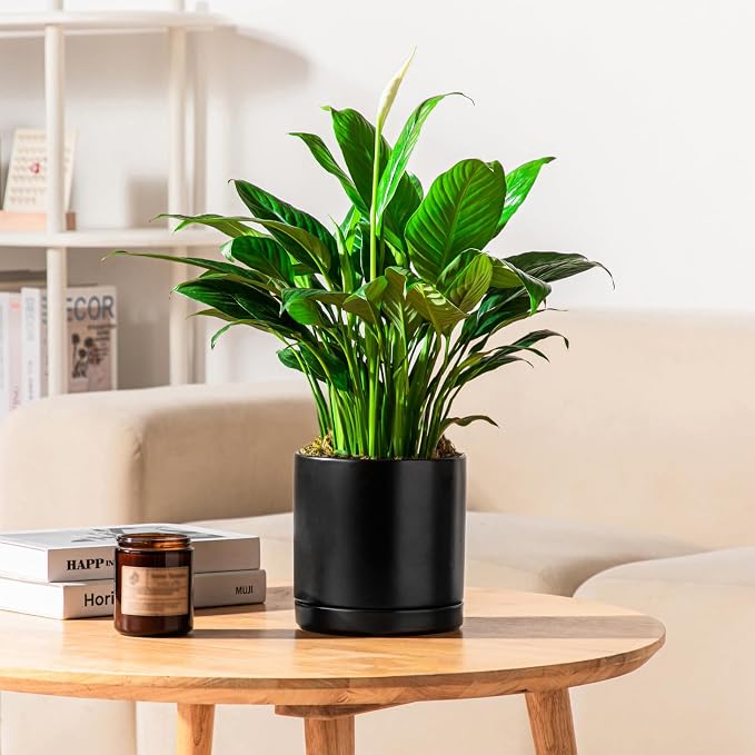 vancasso Ceramic Plant Pots, 3 Piece Planters - Image 8