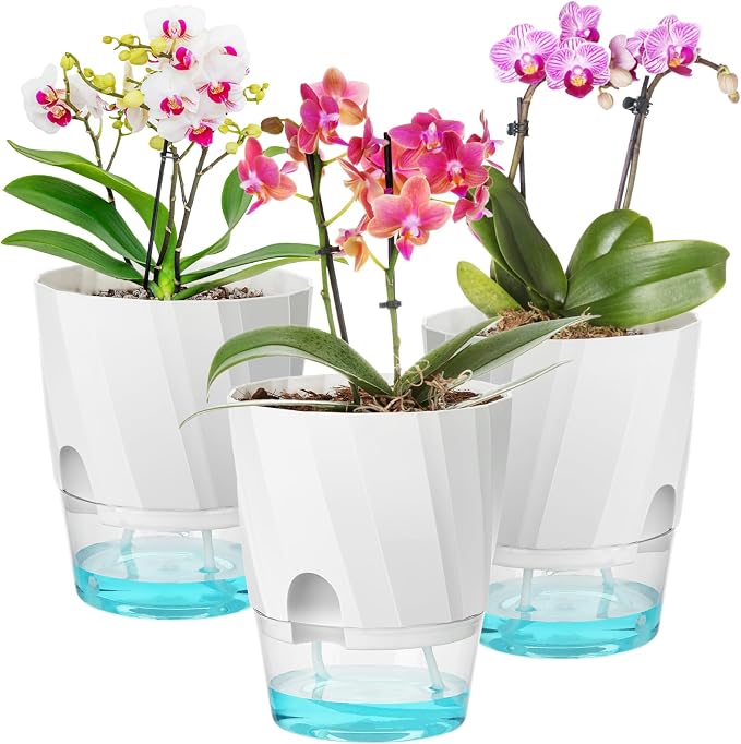 KIMCHOMERSE Self Watering Plant Pots, 6 Inch Plant Pots White, 3 Pack Flowers by KIMCHOMERSE
