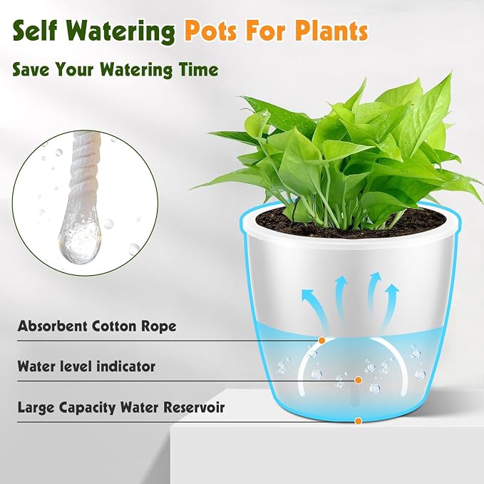Self-Watering Pots for Indoor Plants, Small African Violet Pots - Image 5