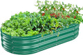 Oval Galvanized Planter Box, Metal Raised Garden Bed by TBMLC