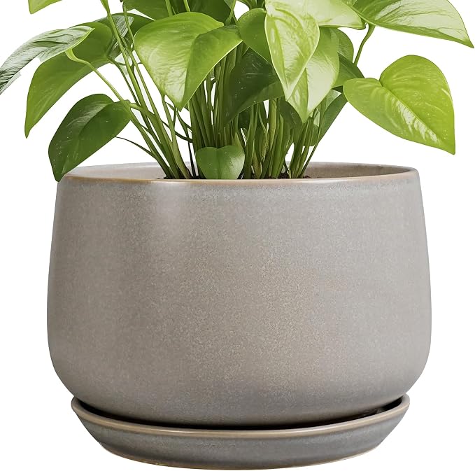 G EPGardening Ceramic Planter 9 Inch by GEPGardening