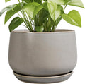 G EPGardening Ceramic Planter 9 Inch by GEPGardening
