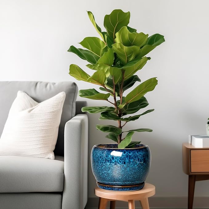 SQOWL 10 Inch Plant Pot - Image 2