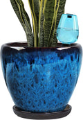 Ceramic Pots for Plant with Self Watering Globes, 10 inch Planters for Indoor by Xoogifae
