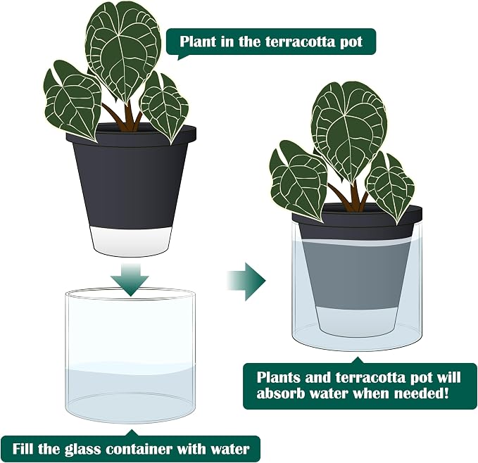 D'vine Dev 6 Inch Design Self Watering Planter - Image 5