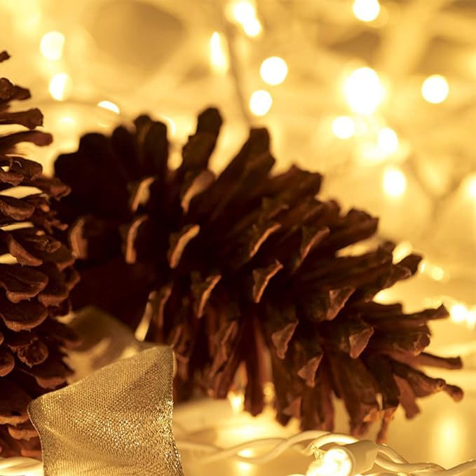 HISHINY Christmas Lights 100 Count Mini Clear Lights 21ft White Wire Christmas - Image 3