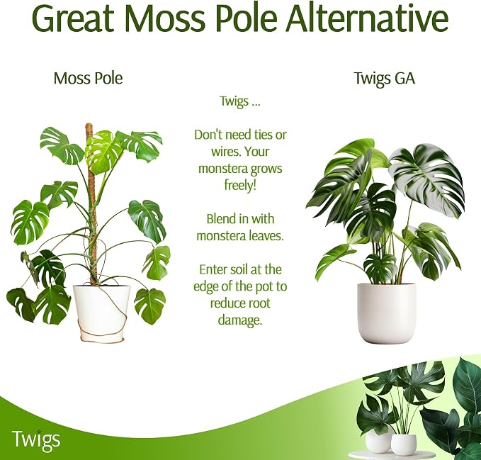 Stackable Monstera Plant Support Stakes, Climbing Support - Image 6