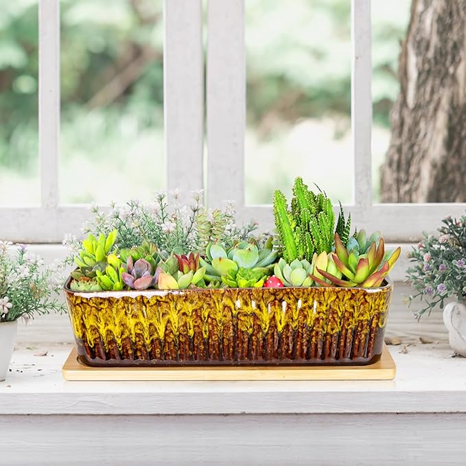 Succulent Pots - 12 Inch Large Succulent Planters - Image 6