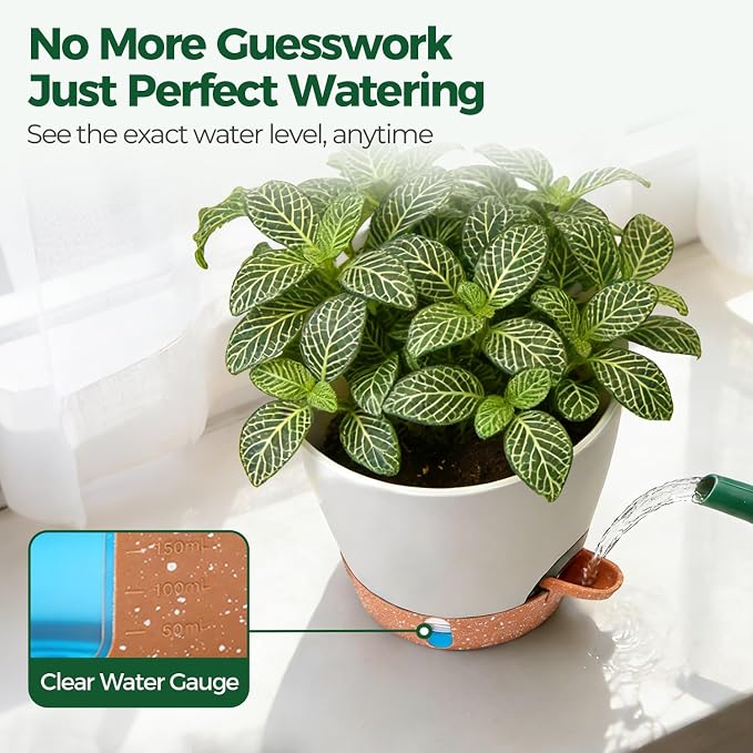 T4U 4 Pack 6 Inch Self Watering Pots - Image 7