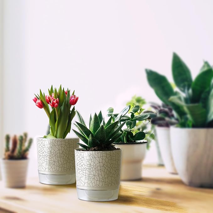 Self Watering Pots for Indoor Plants, Flower Pots, Self Watering Plant Pot-2pcs - Image 8