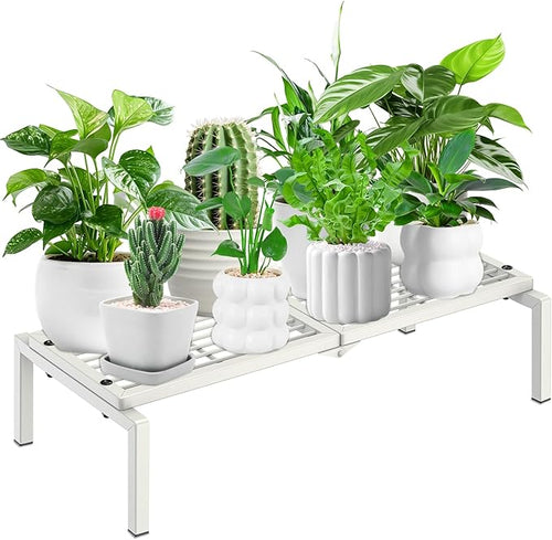 1 Tier Metal Plant Stand Indoor Outdoor, Potted Multiple Flower Pot Holder Rack by Gouisalin