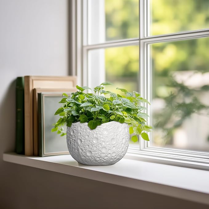Ceramic Pots for Plants - Image 3
