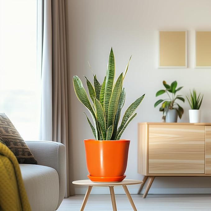 Ceramic Planter - Image 5