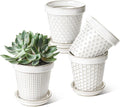 LE TAUCI Ceramic Plant Pots, 4.9 Inch Flower Pots by LETAUCI