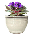 African Violet Pots Self Watering Round Ceramic Violet Pot by Dphagesy