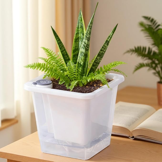 FAMZ Self Watering Pots for Indoor Plants 3 Pack，Clear Plant Pots - Image 3