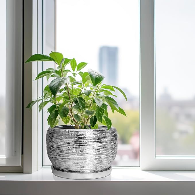 SQOWL Ceramic Pot for Plants - Image 4