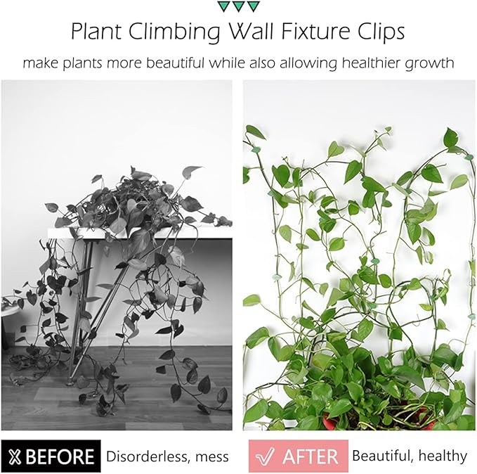 60 Pcs Plant Climbing Wall Fixture Clips Self-Adhesive Hook Vines Traction - Image 3