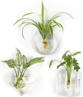 Mkono Wall Planter Propagation Stations Hanging Glass Terrariums Vase Container by Mkono