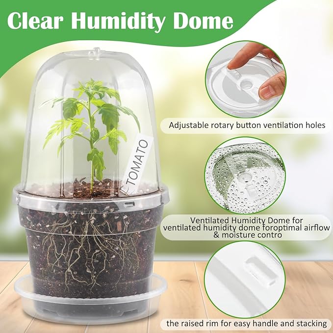 BTPLASTIK 6 Inch Clear Nursery Pots - Image 4