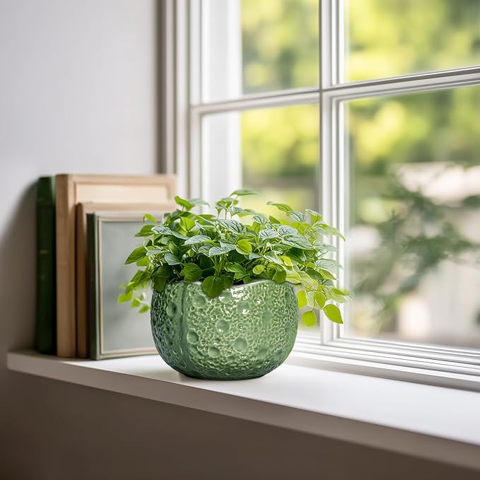 6 Inch Plant Pot - Image 3