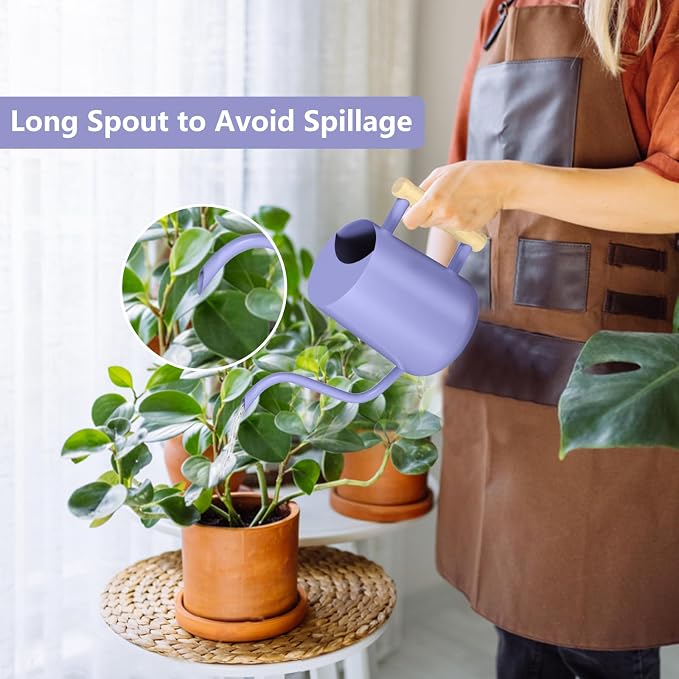 Watering Can Indoor Plants, 35oz Small Stainless Steel Metal Watering Can - Image 2