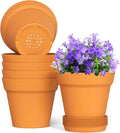 5 Inch Plastic Plant Pots with Drainage Holes and Trays – 6 Pack Small Nursery by WSMKSZ