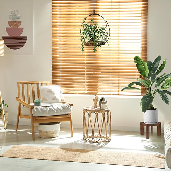 Hanging Planter for Indoor Plants - Image 7