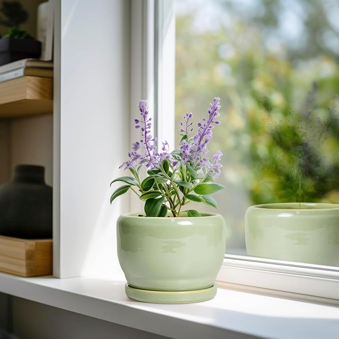 SQOWL Ceramic Pot for Plants - Image 2