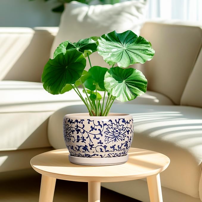SQOWL Ceramic Planters for Indoor Plants - Image 2
