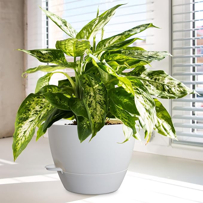 10/9/8 inch Medium Self Watering Pots, Plant Pots - Image 6