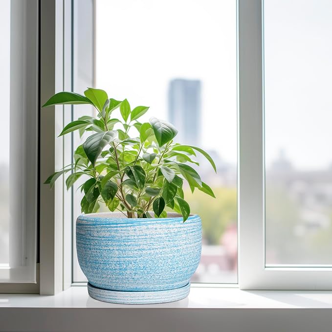 SQOWL Ceramic Plant Pots - Image 4