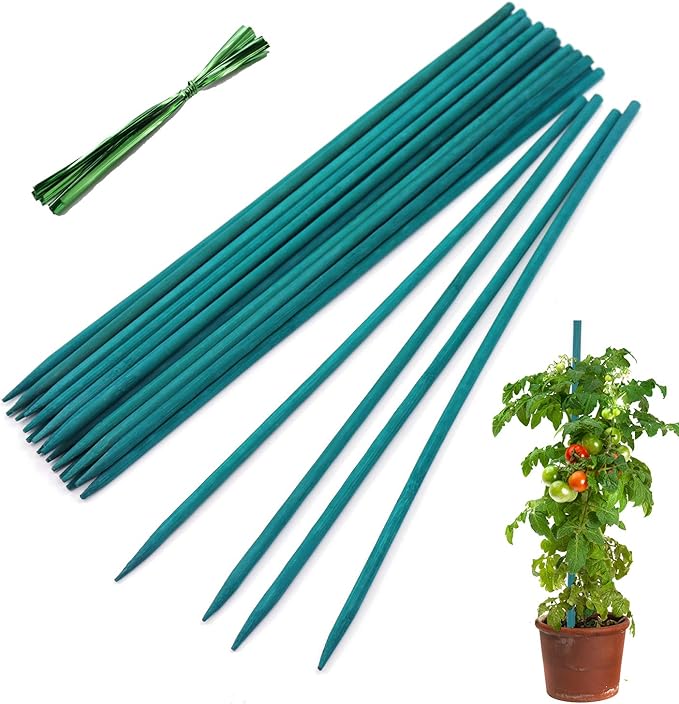 Garden Wood Plant Stakes Green Bamboo Sticks, HAINANSTRY Sturdy Floral Plant by HAINANSTRY