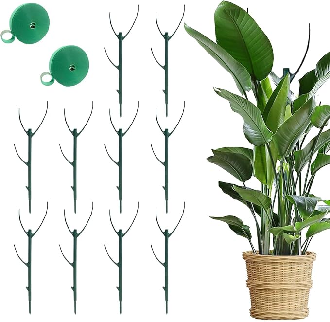 10pcs Stackable Monstera Plant Support Stakes by Unknown