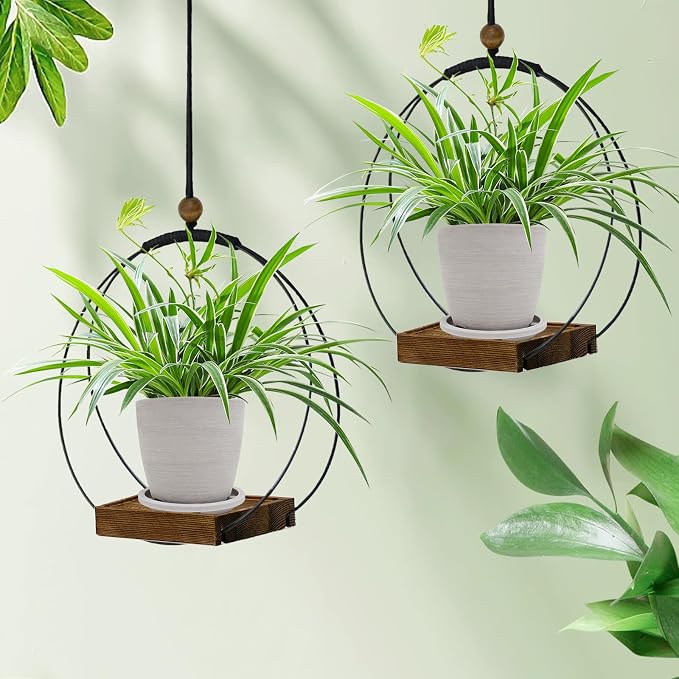 Hanging Planter for Indoor Plants, Plant Hanger - Image 4