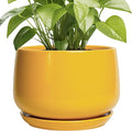 G EPGardening Ceramic Flower Pot by GEPGardening