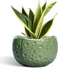 8 Inch Plant Pot by Thirtypot