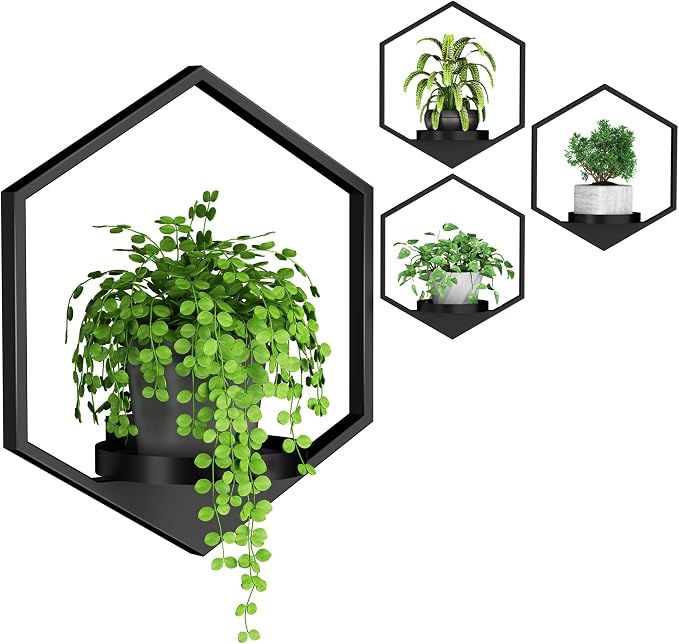 Wall Planters for Indoor Plants, Plant Frames Wall Decor Living Room Plant by DEMEGA