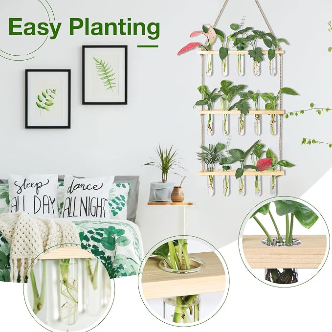 XXXFLOWER Wall Hanging Propagation Station - Image 3