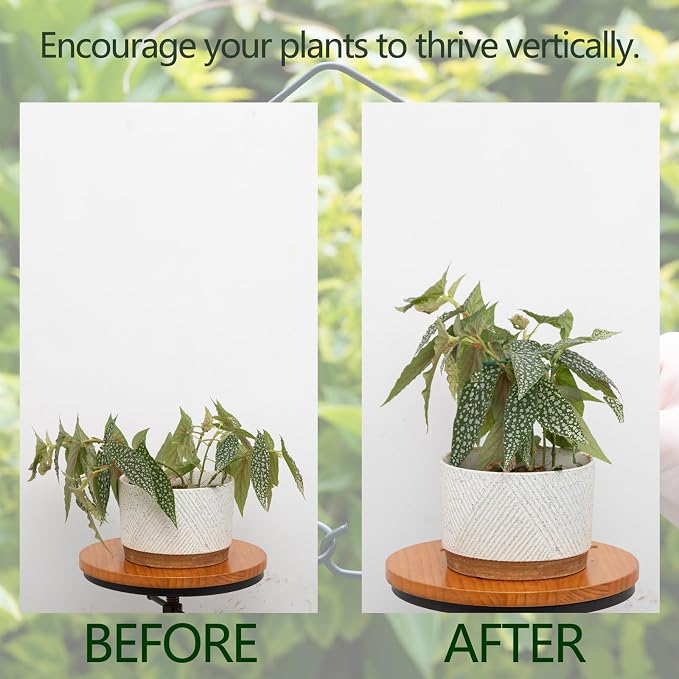 Monstera Plant Stem Support - Image 3