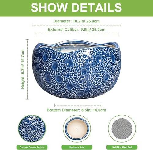 10 Inch Plant Pot - Image 2