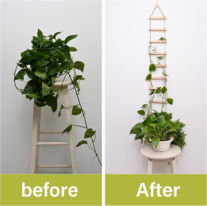 2PCS Chain Trellis for Climbing Plants - Image 3