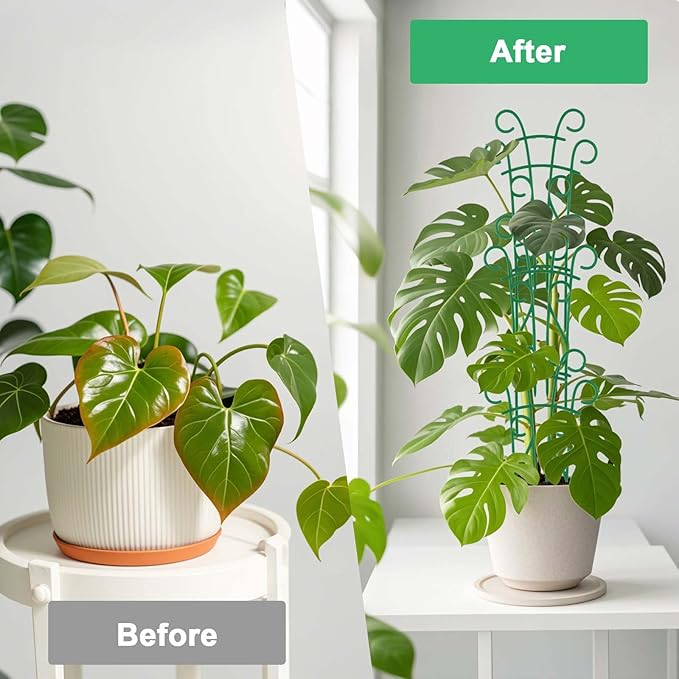 Plant Trellis for Potted Plants 4 Pack Stackable Indoor Outdoor Climbing - Image 3