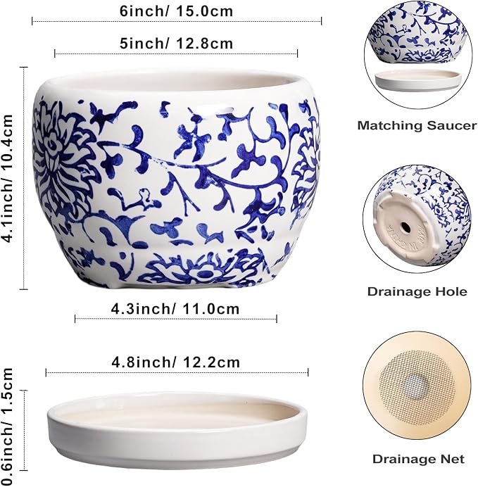 SQOWL 6 Inch Planter - Image 3